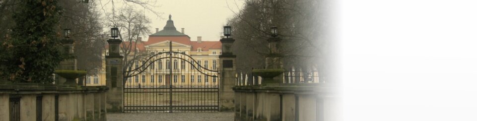 Rogalin pałac i dęby