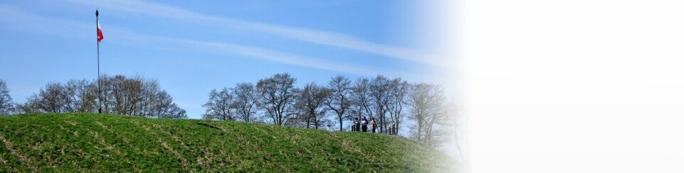 Ostrów Lednicki zabytki